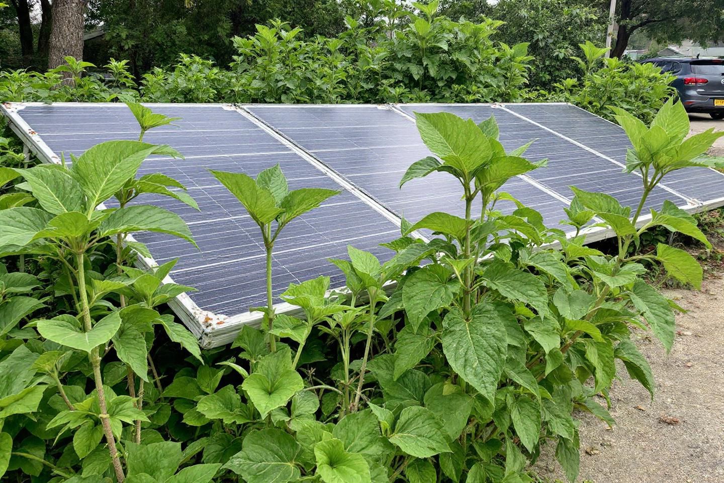 Comment l’absence de maintenance incluse impacte-t-elle la performance d’une location de panneau solaire ?